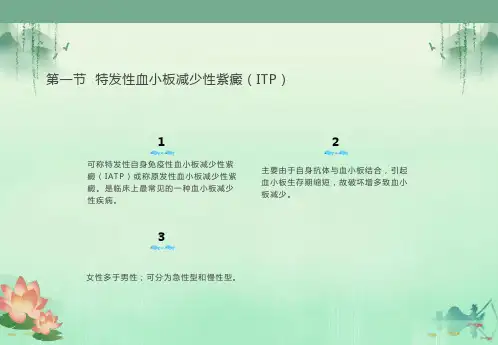 血小板减少性紫癜ppt