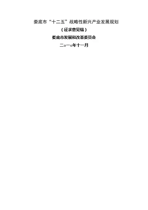 娄底市战略性新兴产业规划 