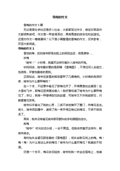 雪梅的作文5篇