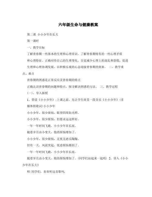 六年级生命与健康教案