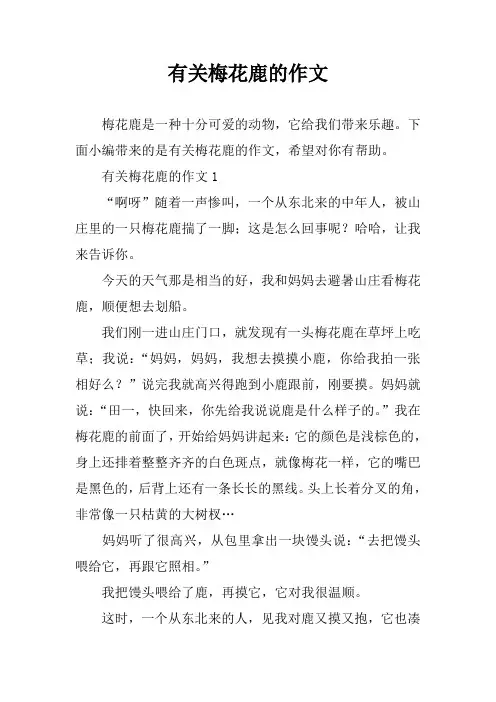 有关梅花鹿的作文