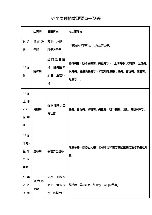 冬小麦种植管理要点一览表