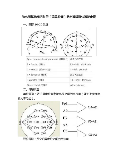 脑电图基础知识科普（简单易懂）脑电波睡眠快波脑电图