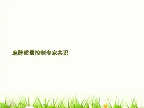 麻醉质量控制专家共识PPT课件