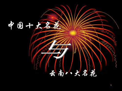 中国十大名花和云南的八大名花