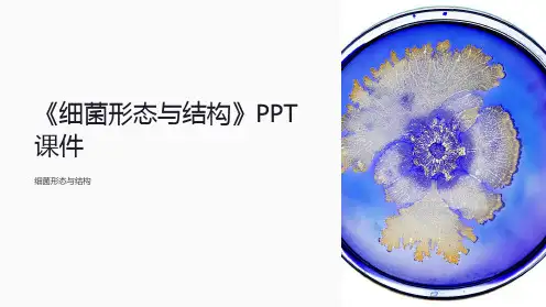 《细菌形态与结构》课件