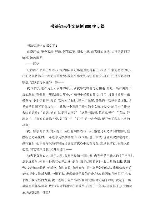 书法初三作文范例800字5篇