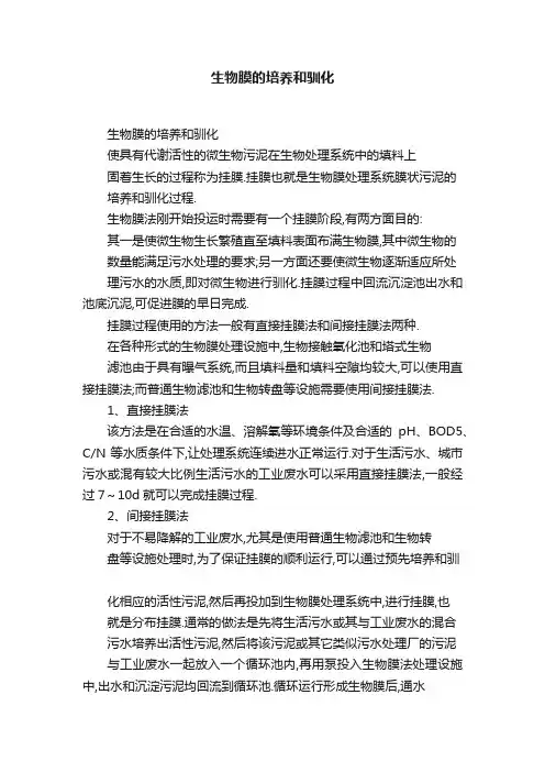 生物膜的培养和驯化