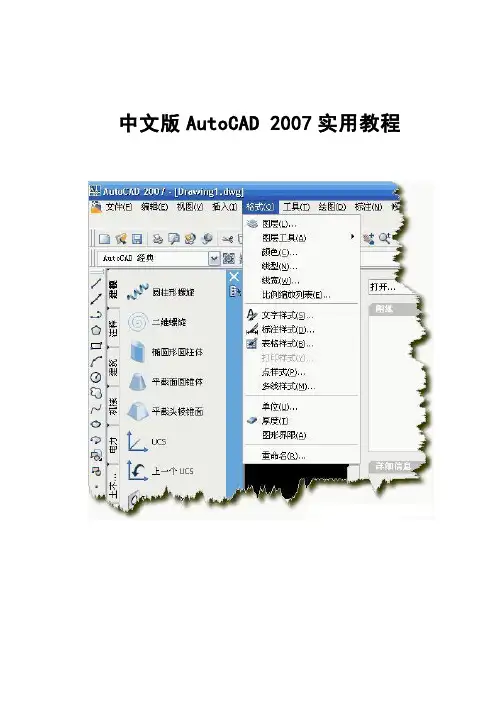 中文版AutoCAD 2007实用教程