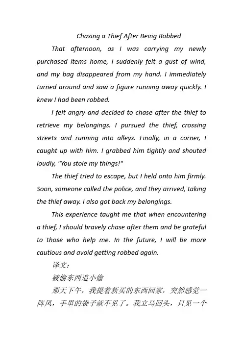 被偷东西追小偷的英语作文