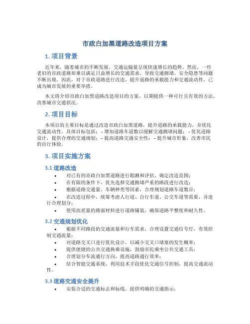 市政白加黑道路改造项目方案 (2)