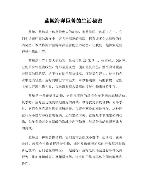 蓝鲸海洋巨兽的生活秘密