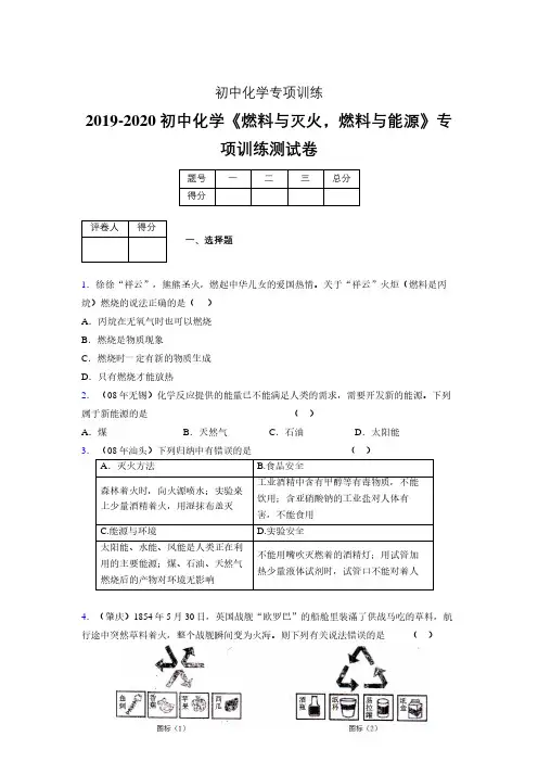 2019-2020学年初中化学《燃料与灭火,燃料与能源》专项训练模拟测试(含答案) (206)