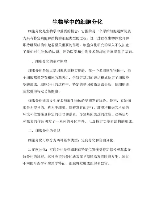 生物学中的细胞分化