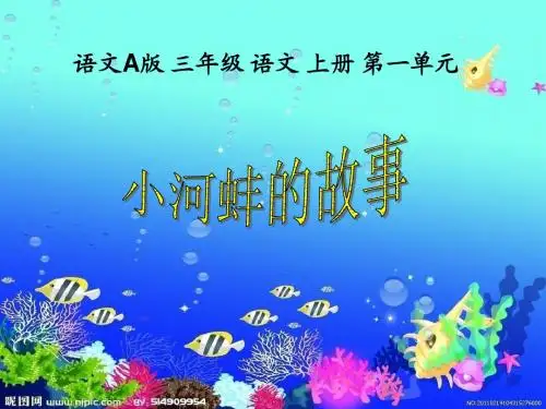 3小河蚌的故事