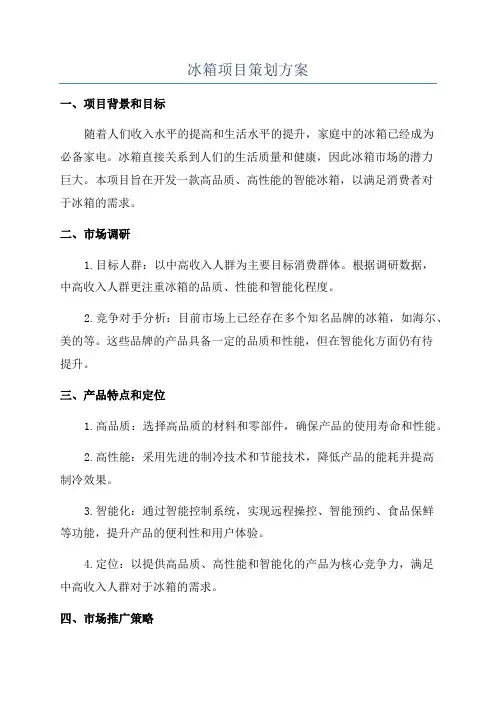 冰箱项目策划方案