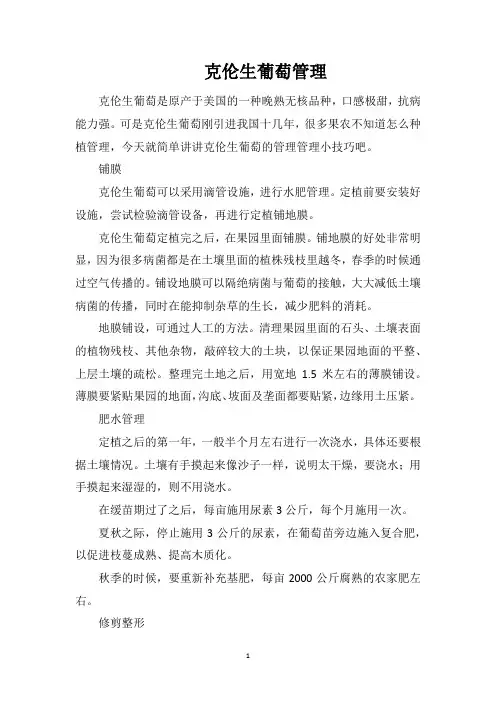 克伦生葡萄管理