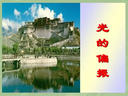 光学(光的偏振)