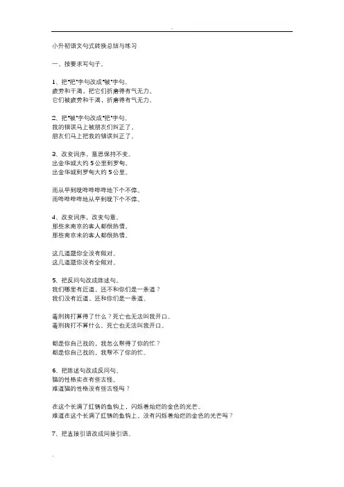 小升初语文句式转换总结练习