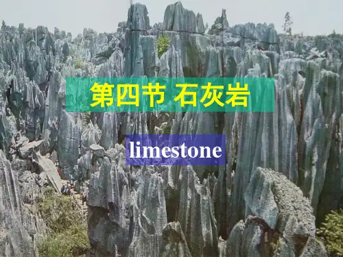 石灰岩