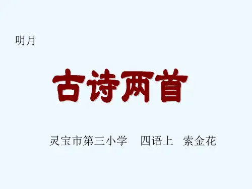 鸟鸣涧