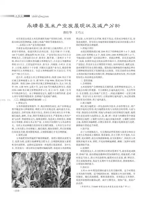 永靖县玉米产业发展现状及减产分析
