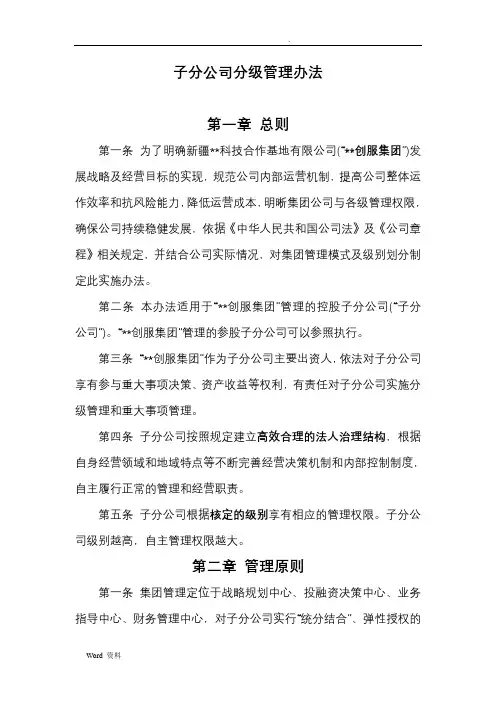 集团公司分级管理办法