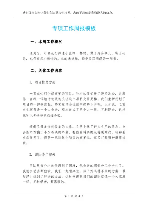 专项工作周报模板