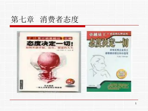 消费者态度