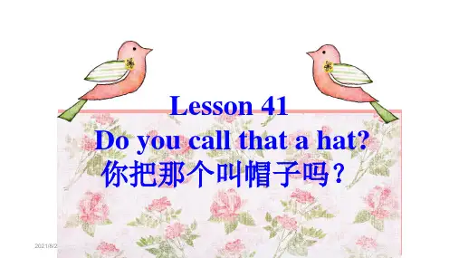 新概念二Lesson 41课件(共18张PPT)