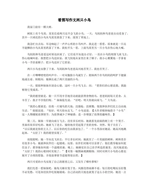 看图写作文两只小鸟