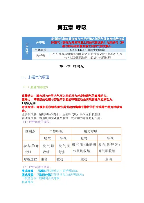 生理学——呼吸(一)