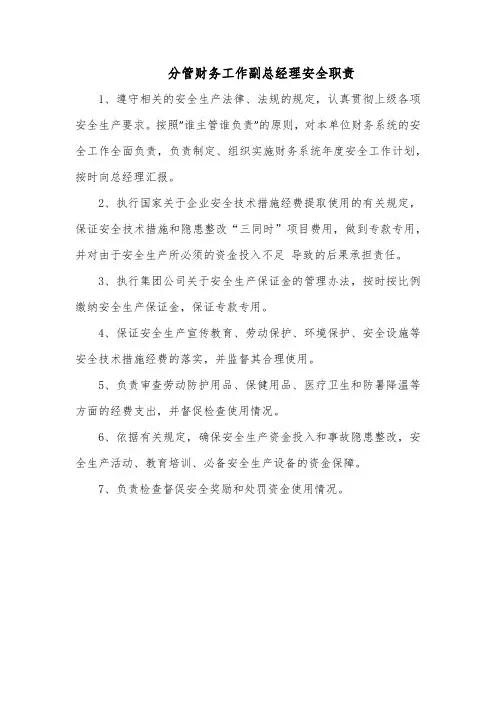 分管财务工作副总经理安全职责