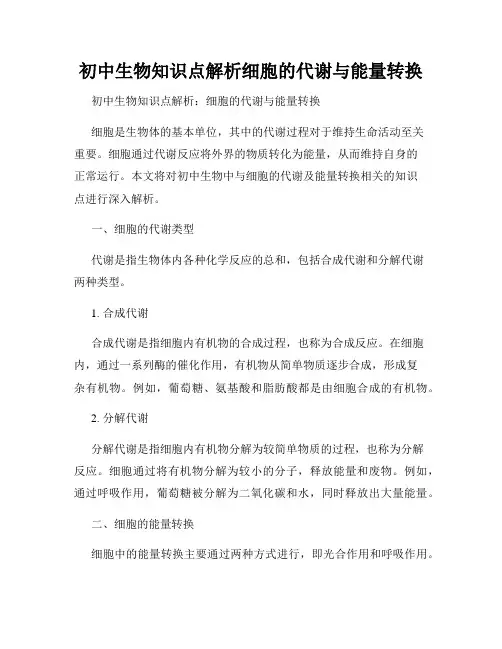 初中生物知识点解析细胞的代谢与能量转换