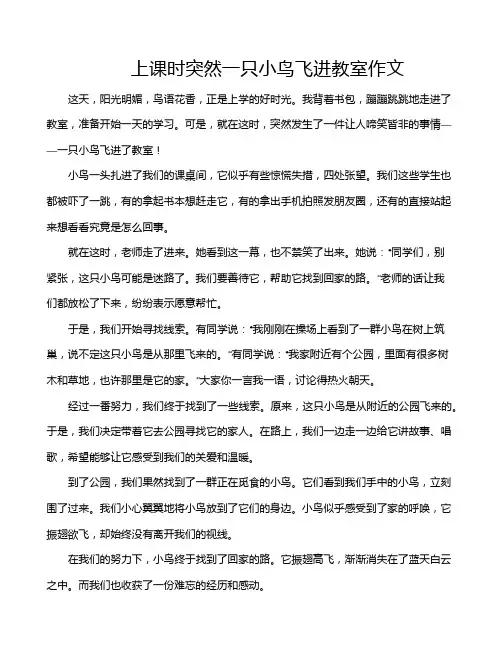 上课时突然一只小鸟飞进教室作文