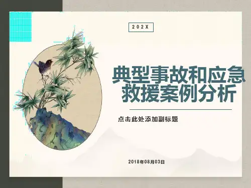 典型事故和应急救援案例分析