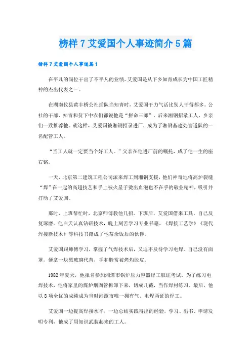 榜样7艾爱国个人事迹简介5篇