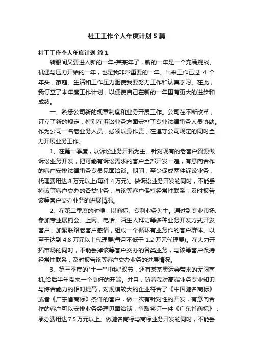 社工工作个人年度计划5篇