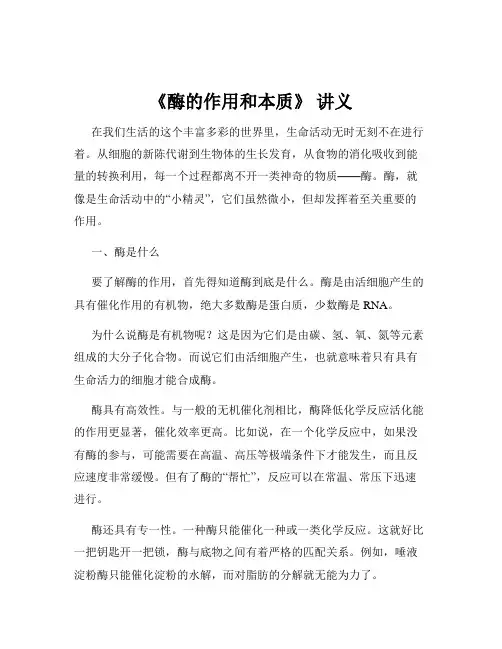 《酶的作用和本质》 讲义