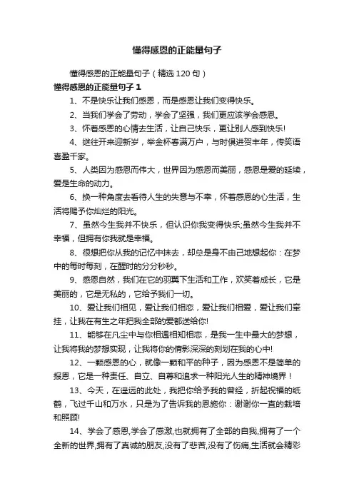 懂得感恩的正能量句子（精选120句）