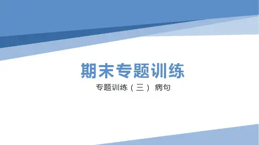 专题训练(三) 病句