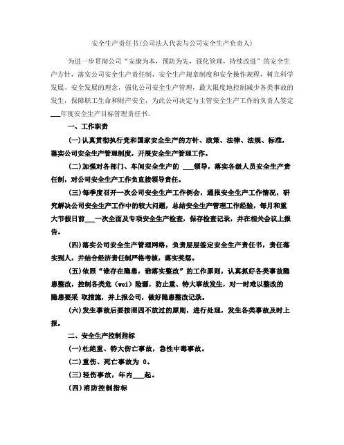 安全生产责任书(公司法人代表与公司安全生产负责人)