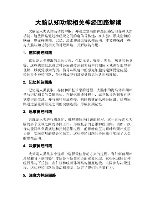 大脑认知功能相关神经回路解读