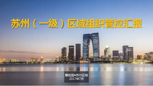 碧桂园一级区域组织管控汇报