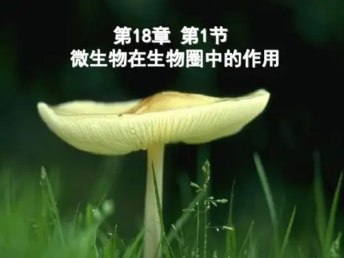 北师大版八年级生物上册第18章第1节微生物在生物圈中的作用(共34张PPT)
