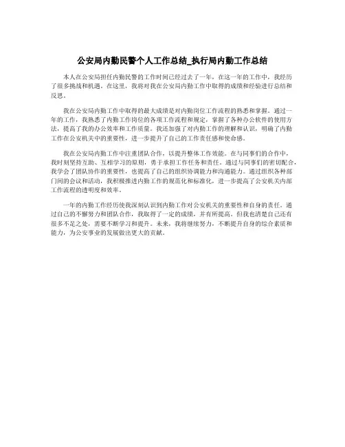 公安局内勤民警个人工作总结_执行局内勤工作总结