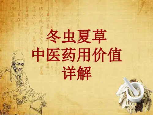 中药学_冬虫夏草_药材详解课件模板_性味