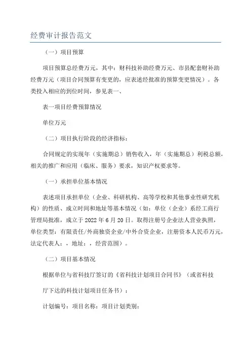 经费审计报告范文