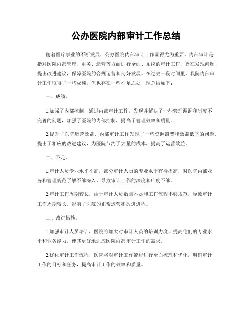 公办医院内部审计工作总结