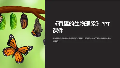《有趣的生物现象》课件